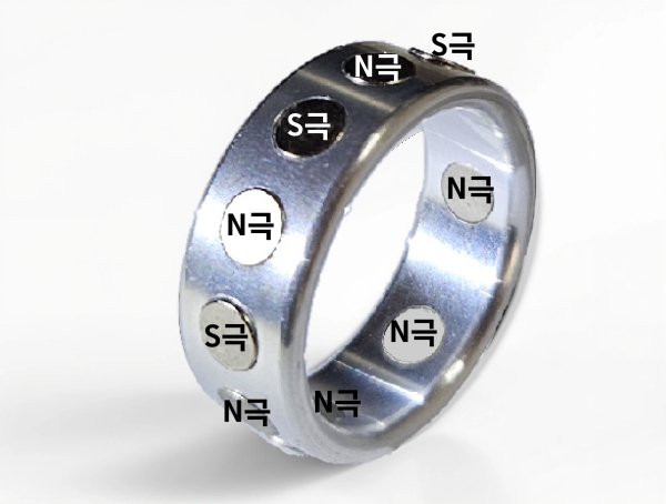 갈바닉 자석반지 구조 설명